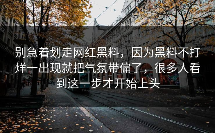 别急着划走网红黑料，因为黑料不打烊一出现就把气氛带偏了，很多人看到这一步才开始上头