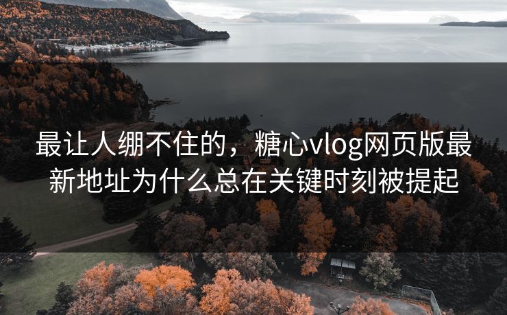 最让人绷不住的，糖心vlog网页版最新地址为什么总在关键时刻被提起
