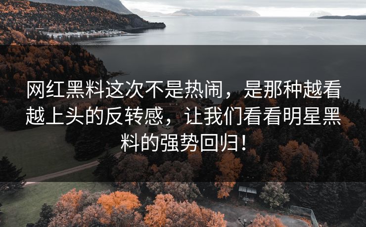 网红黑料这次不是热闹，是那种越看越上头的反转感，让我们看看明星黑料的强势回归！